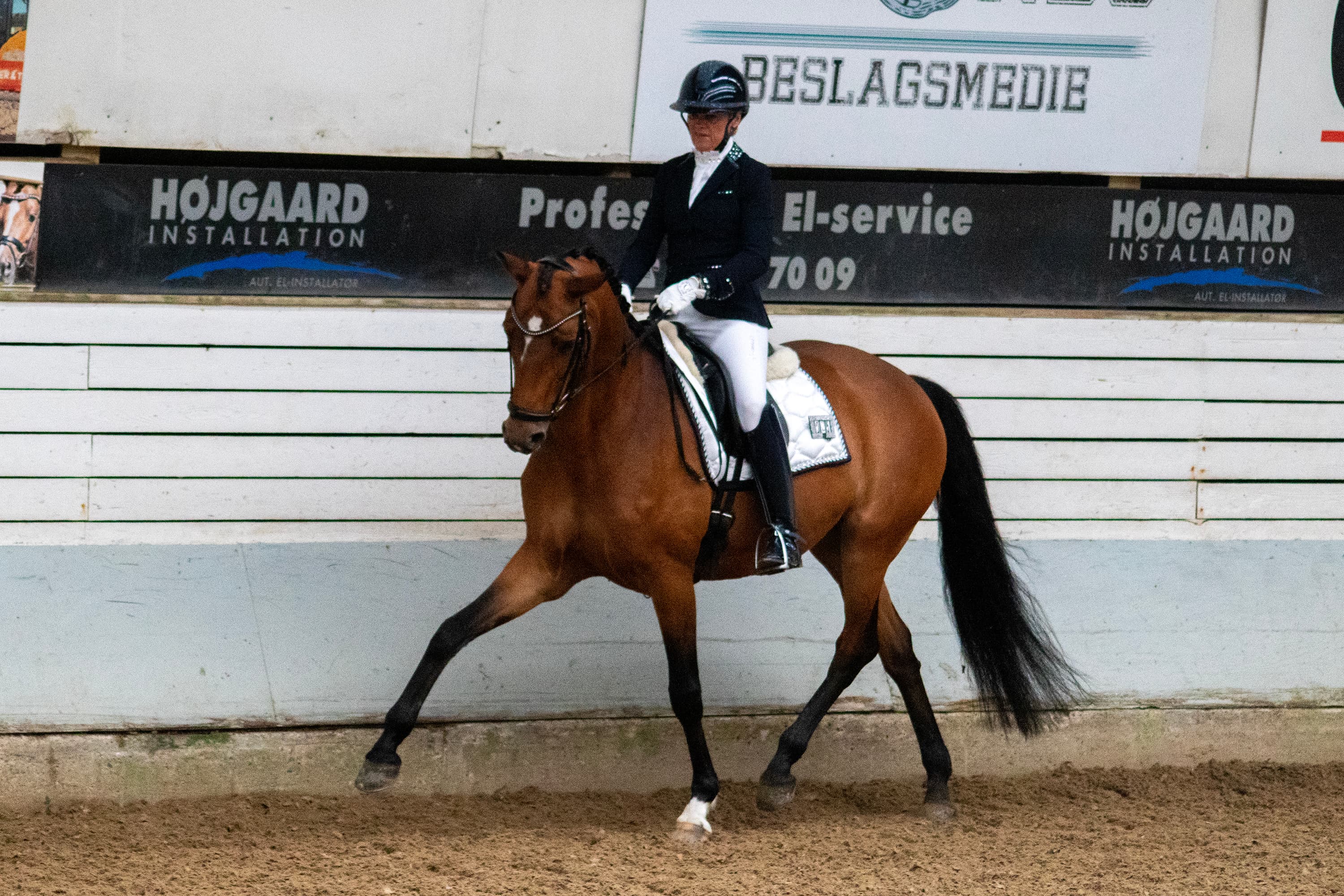 Dressurdommer illustrasjon